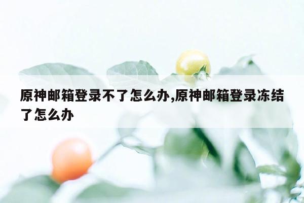 原神邮箱登录不了怎么办,原神邮箱登录冻结了怎么办