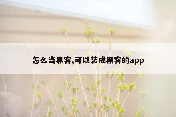 怎么当黑客,可以装成黑客的app