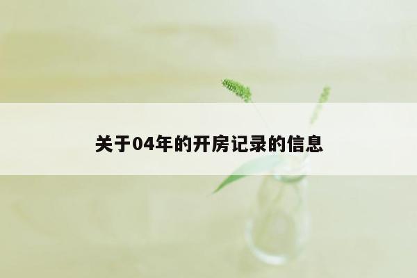 关于04年的开房记录的信息