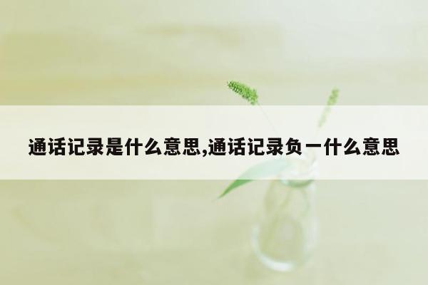 通话记录是什么意思,通话记录负一什么意思