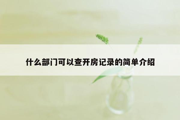 什么部门可以查开房记录的简单介绍