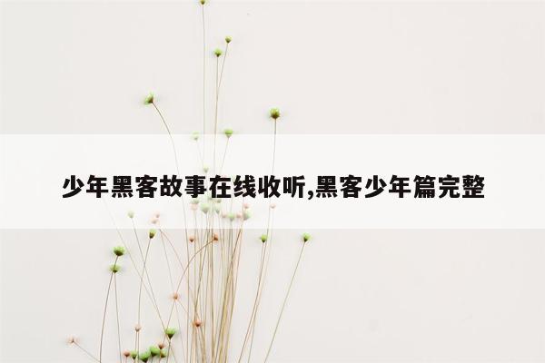 少年黑客故事在线收听,黑客少年篇完整