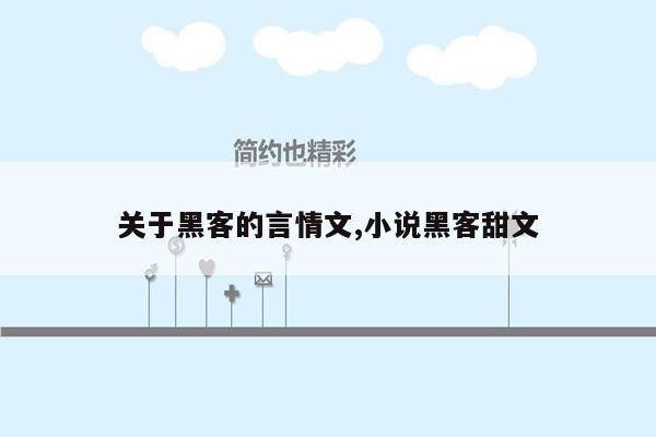 关于黑客的言情文,小说黑客甜文