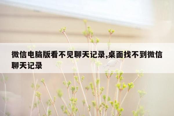 微信电脑版看不见聊天记录,桌面找不到微信聊天记录