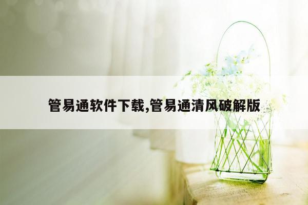 管易通软件下载,管易通清风破解版