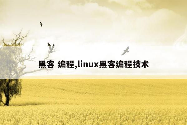 黑客 编程,linux黑客编程技术