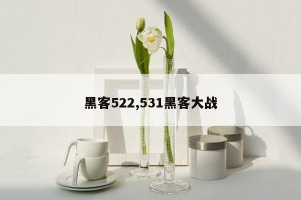 黑客522,531黑客大战