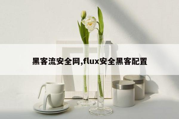 黑客流安全网,flux安全黑客配置