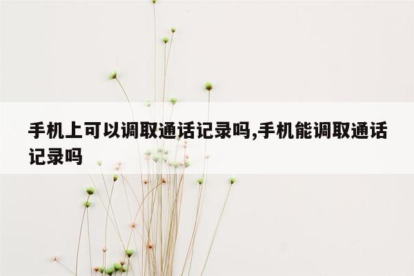 手机上可以调取通话记录吗,手机能调取通话记录吗