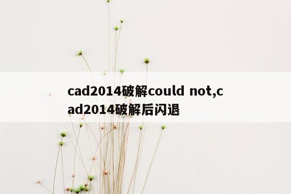 cad2014破解could not,cad2014破解后闪退