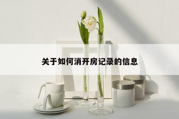 关于如何消开房记录的信息