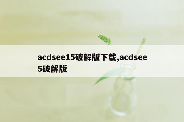 acdsee15破解版下载,acdsee5破解版
