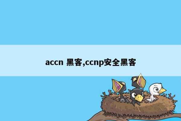 accn 黑客,ccnp安全黑客