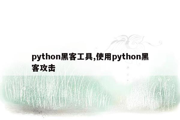 python黑客工具,使用python黑客攻击