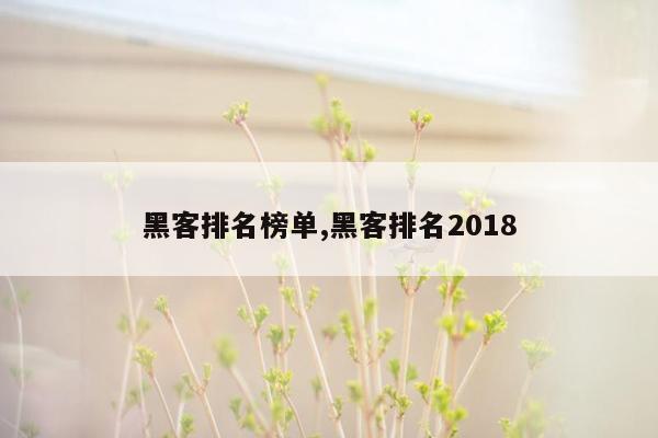 黑客排名榜单,黑客排名2018