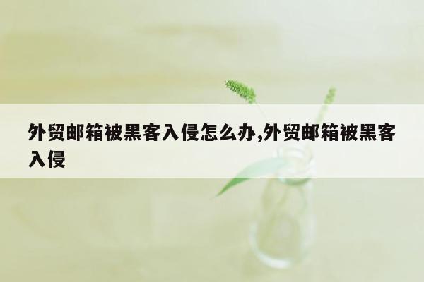 外贸邮箱被黑客入侵怎么办,外贸邮箱被黑客入侵