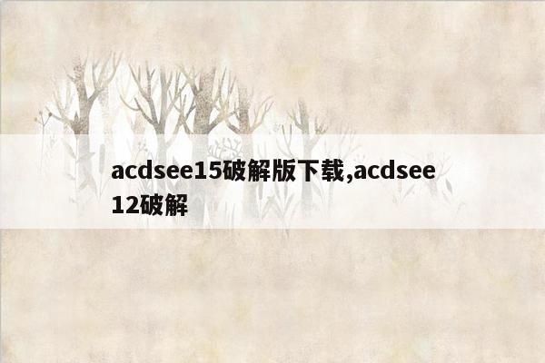 acdsee15破解版下载,acdsee12破解
