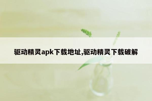 驱动精灵apk下载地址,驱动精灵下载破解