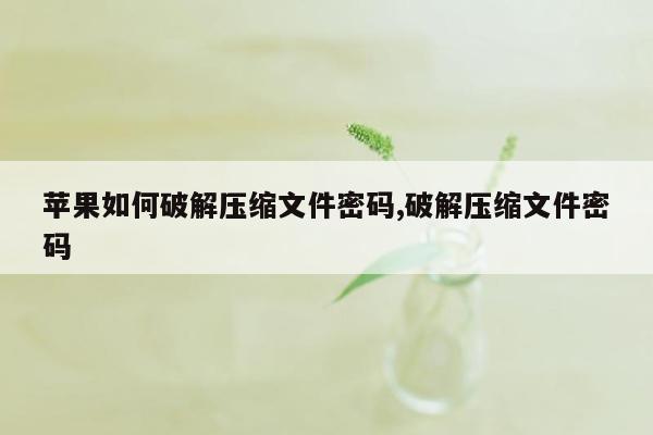 苹果如何破解压缩文件密码,破解压缩文件密码