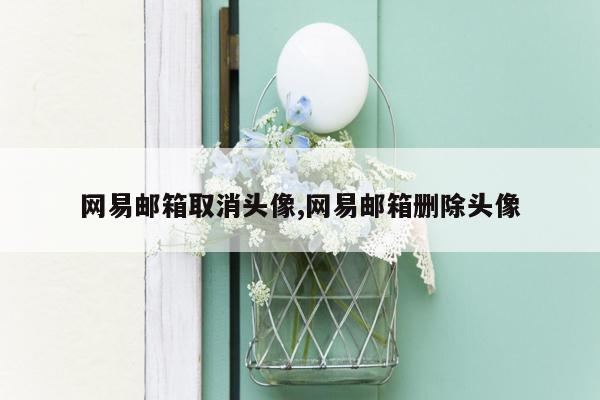 网易邮箱取消头像,网易邮箱删除头像